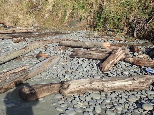 Beach Shingles