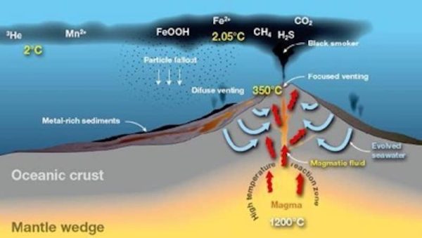 Hydrothermal Vent Dynamics
