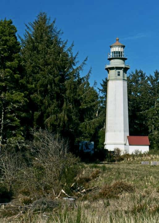 Westport Light among the trees.